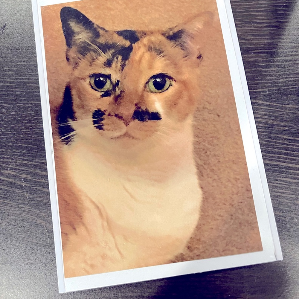 3/$15! 🎈 Picture magnet